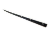 Toyota 68171-02100 Weatherstrip, Inner Passenger Side