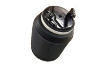 Toyota 48090-35011 Cylinder Assembly, Pneumatic, Rear Driver Side
