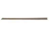Toyota PT938-02140-04 Body Side Molding, Bronze
