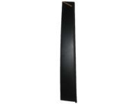 Toyota 75707-08013 Window Molding, Passenger Side