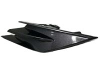 Toyota 53124-33120 Outer Molding, Driver Side