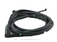 Toyota 67871-60080 Weatherstrip, Rear Door, Passenger Side