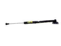 Toyota 68950-69205 Lift Cylinder, Passenger Side