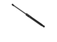 Toyota 68960-0W790 Lift Cylinder, Driver Side
