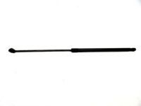 Toyota 53450-06081 Lift Cylinder, Driver Side