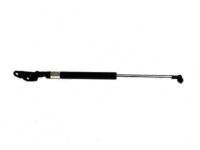 Toyota 68950-80106 Lift Cylinder, Passenger Side
