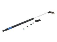 Toyota 68950-19895 Lift Cylinder, Passenger Side