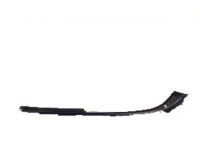 Toyota 75671-06011 Belt Molding, Passenger Side