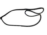 Toyota 67872-AC030 Door Weatherstrip, Driver Side