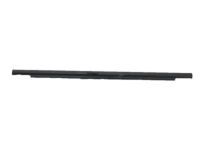 Toyota 68163-35041 Belt Weatherstrip, Outer Passenger Side