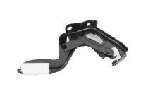 Toyota 53410-42120 Hinge Assembly, Passenger Side