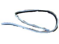 Toyota 62311-60010-06 Weatherstrip, Front Door Opening Trim, Passenger Side