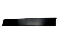 Toyota 75761-35010 Window Molding, Front Passenger Side