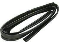 Toyota 68151-04010 Run Channel, Driver Side