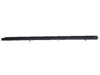 Toyota 68160-0C010 Belt Weatherstrip, Outer Passenger Side