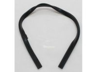 Toyota 69971-90K00 Sash Channel, Front