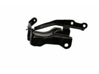 Toyota 53420-0C020 Hinge, Driver Side