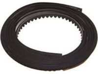 Toyota 76925-02030-B0 Rocker Molding Protector, Gray