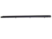 Toyota 75710-06060 Belt Molding, Passenger Side