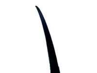 Toyota 75556-02040 Drip Molding, Center Driver Side