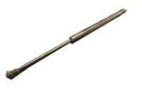 Toyota 68960-0W621 Lift Cylinder, Driver Side