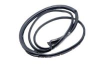 Toyota 62312-02160 Weatherstrip On Body, Driver Side