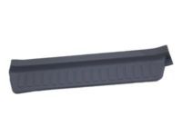 Toyota 67917-60011-B0 Plate, Rear Door Scuff GREY