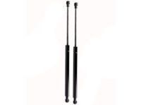 Toyota 68950-0W611 Lift Cylinder, Passenger Side