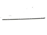 Toyota 75660-60040 Belt Molding, Passenger Side