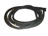 Toyota Weather Strip - 67862-AE010 Door Weatherstrip, Driver Side