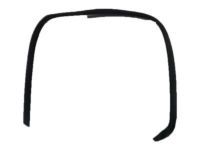 Toyota 62311-0C010 Door Weatherstrip, Passenger Side