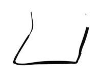 Toyota 68141-01061 Run Channel, Passenger Side