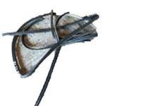 Toyota 62312-0C030-E0 Surround Weatherstrip, Driver Side