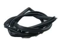 Toyota 67872-60041 Weatherstrip, Rear Door, Driver Side