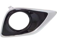 Toyota 52040-0T010 Lamp Bezel, Driver Side