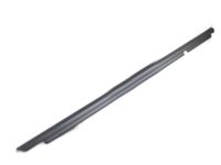 Toyota 75730-12262 Belt Molding, Passenger Side