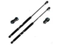 Toyota 68960-02110 Lift Cylinder, Driver Side