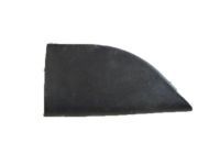 Toyota 67491-AE010 Window Molding, Passenger Side