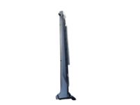 Toyota 75851-F4010 Rocker Molding, Passenger Side