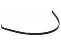 Toyota 75552-AC010 Drip Rail, Driver Side