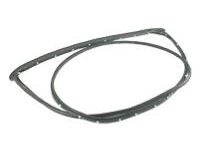 Toyota 62311-0C040 Door Weatherstrip, Passenger Side