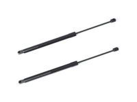 Toyota 68940-02022 Lift Cylinder, Driver Side