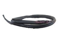 Toyota 62382-14150 Weatherstrip, Driver Side