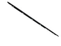 Toyota 75740-60020 Belt Molding, Driver Side