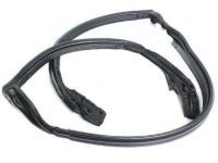 Toyota 63251-14061 Weatherstrip, Front