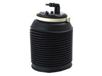 Toyota 48080-35011 Air Cylinder, Rear Passenger Side