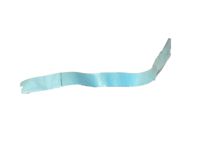 Toyota 75975-06050 Black Out Tape, Passenger Side