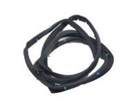Toyota 67871-48050 Door Weatherstrip, Passenger Side