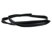 Toyota 68142-60011 Run Channel, Passenger Side