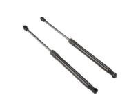 Toyota 68960-0W591 Lift Cylinder, Driver Side